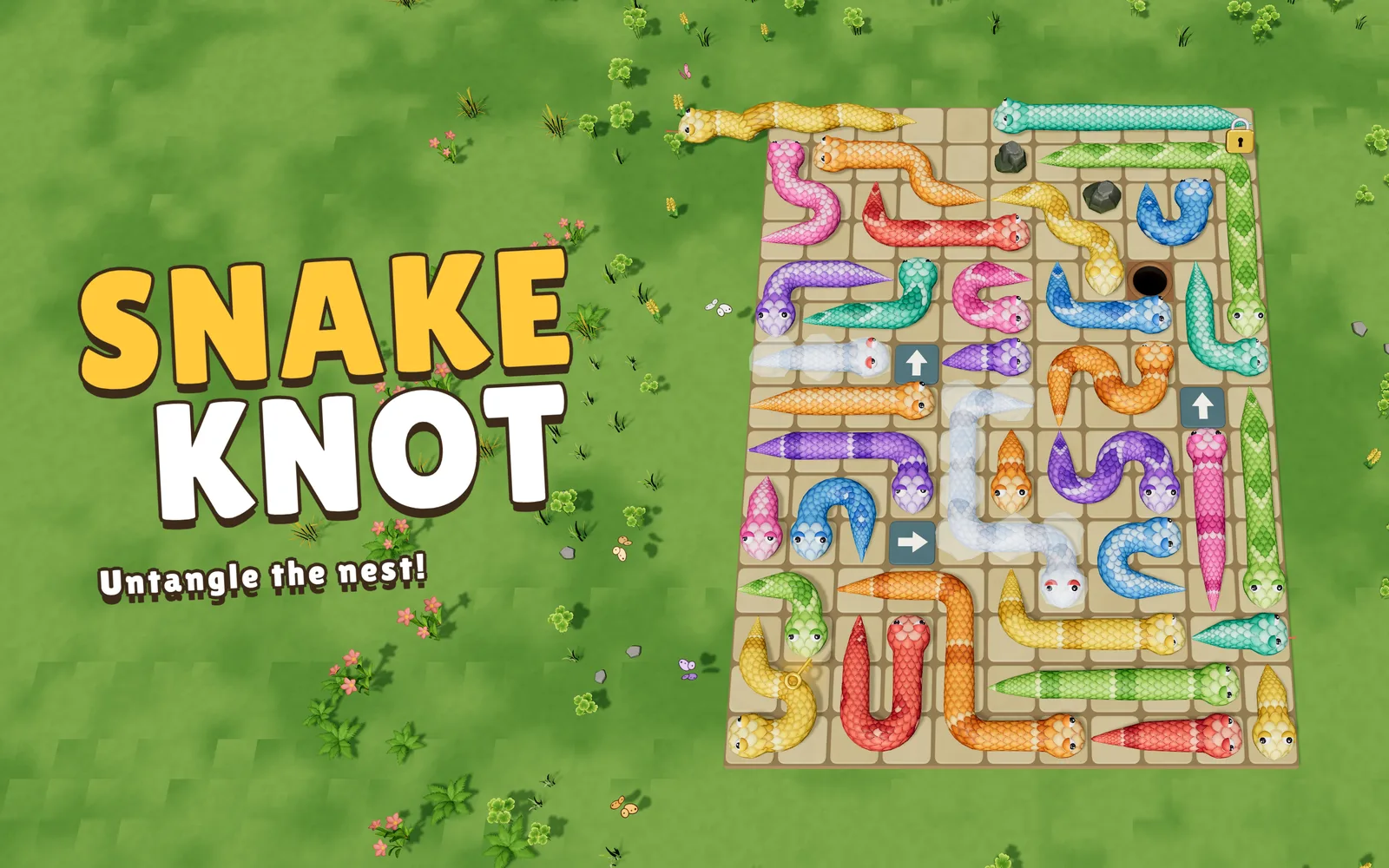 Snake Knot gameplay